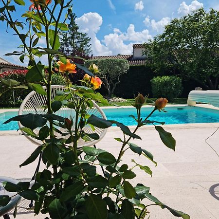 Petit Gite De Provence Mazan Exterior foto