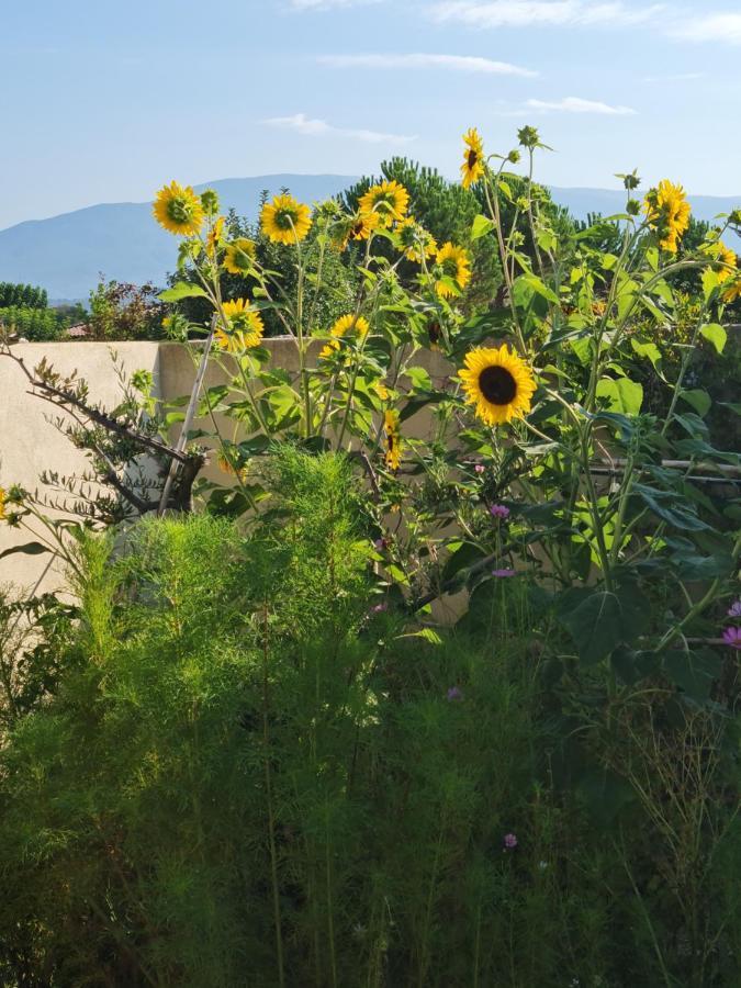 Petit Gite De Provence Villa Mazan Exterior foto