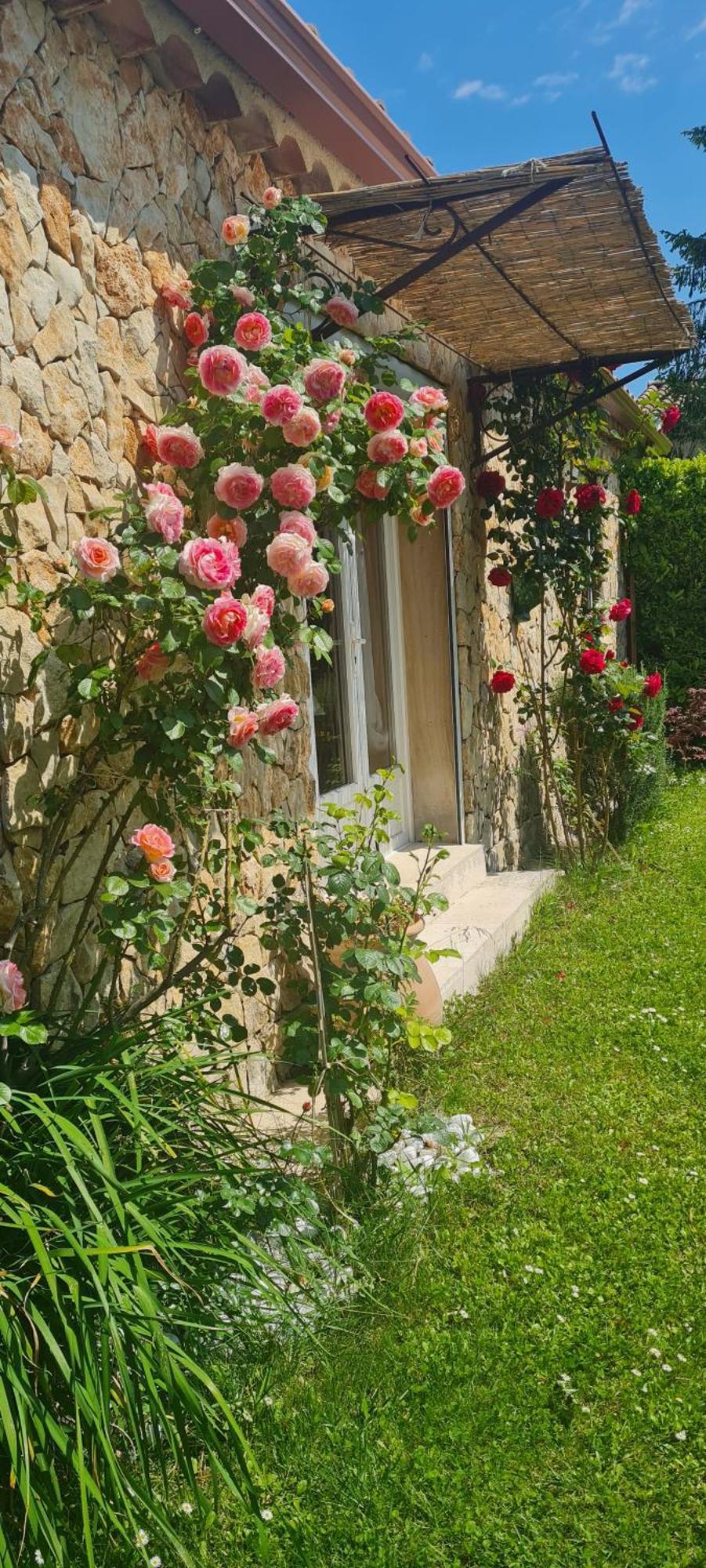 Petit Gite De Provence Mazan Exterior foto